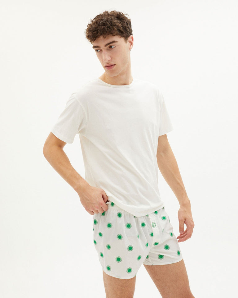 Boxer Sol Verde sostenible-3