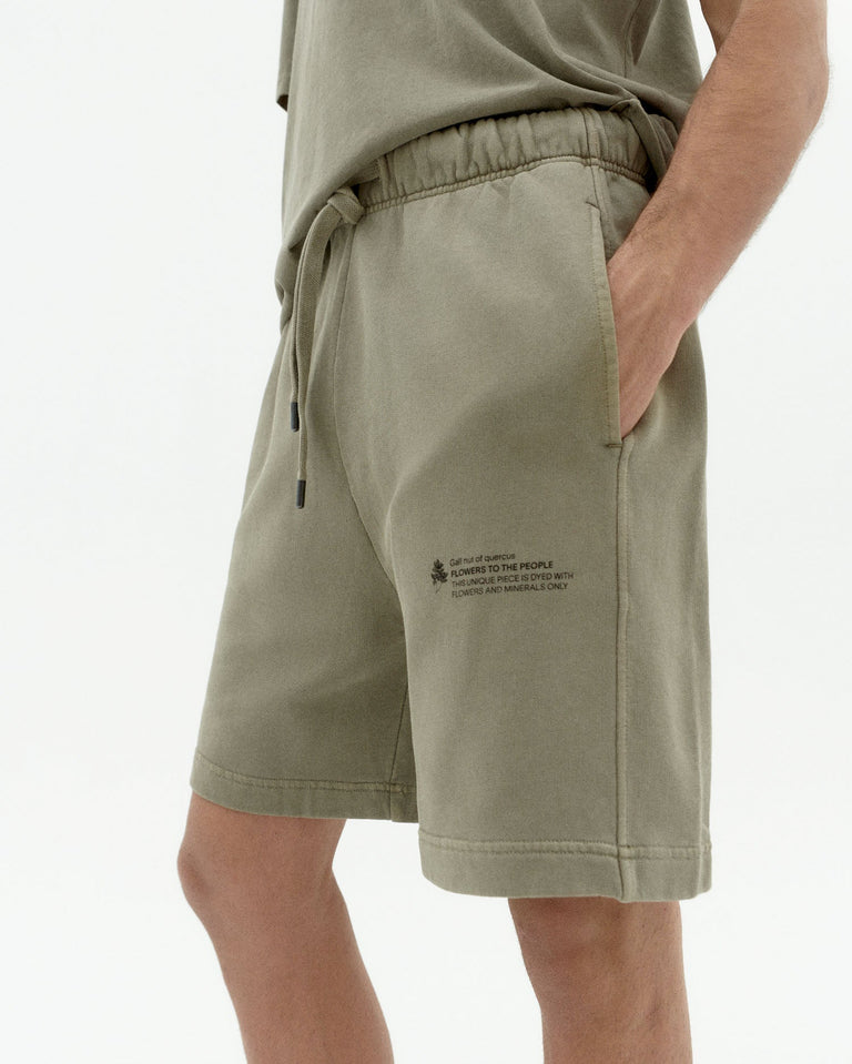 Short gal nut of quercus FTP hombre Dan-3